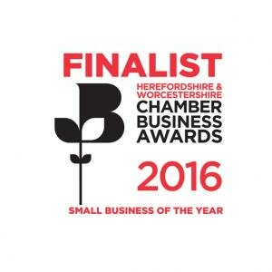 Small Business of the Year 2016